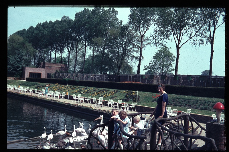21.Avifauna mei 1966 Mama,Brigitte,Marion,Peter.JPG
